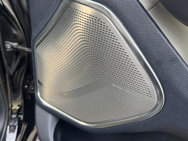 Ram 1500 4 x 4 l crew cab limited 10th anniversary l lpg l panoramadak l he