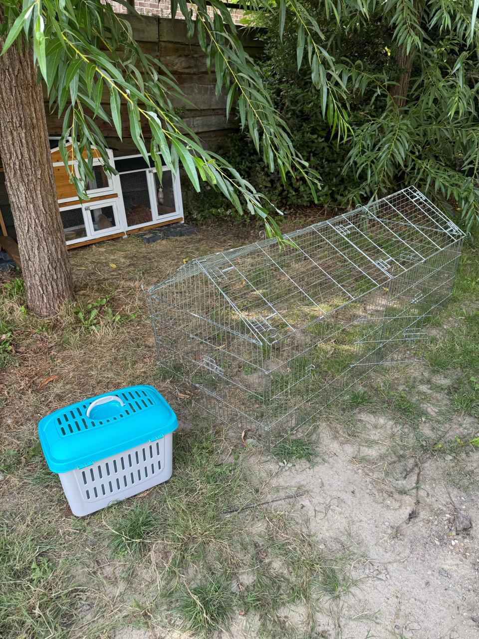Twee konijnen (koppel) met alle toebehoren