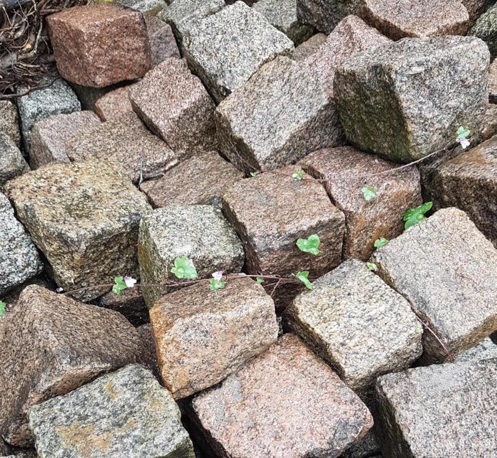 Kasseien voor bestrating