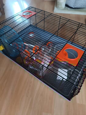 Hamsterkooi