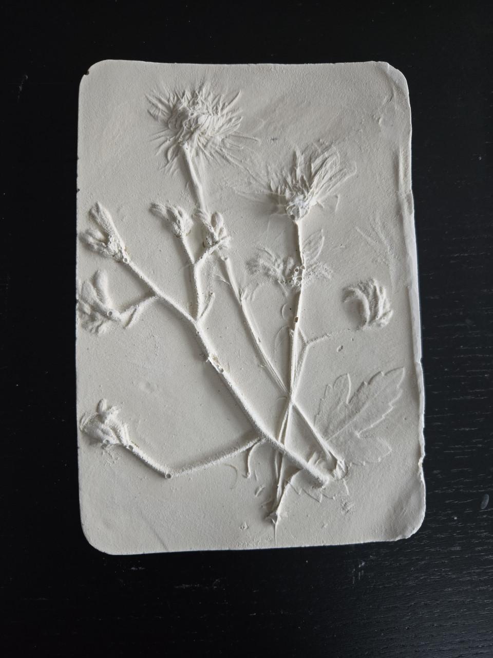 Workshop botanisch schilderijtje