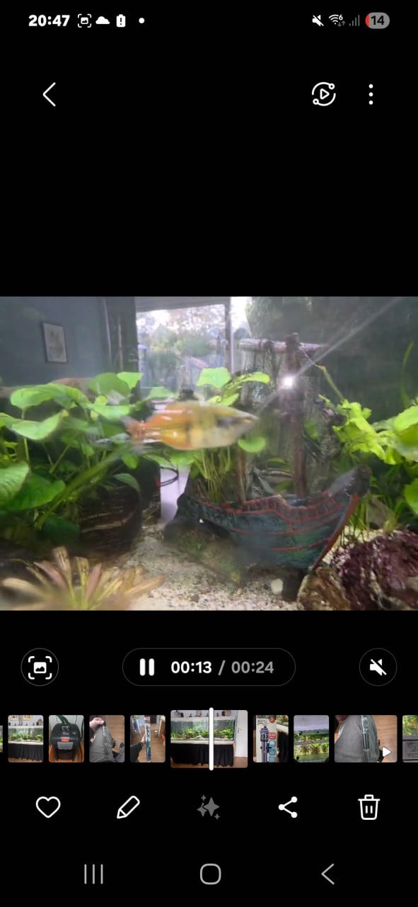 2 meter aquarium met vissen, inrichting en techniek