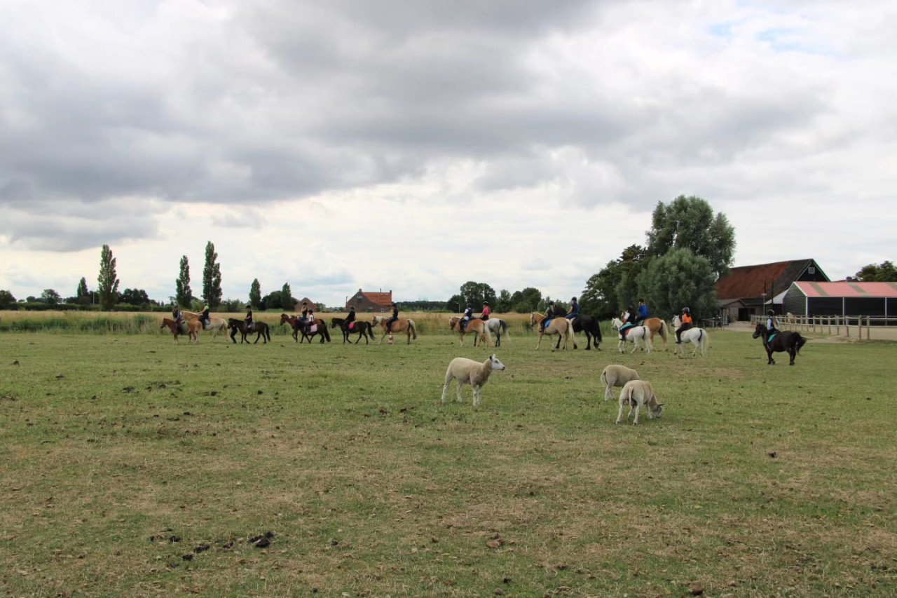 Ponykamp In Middelburg!