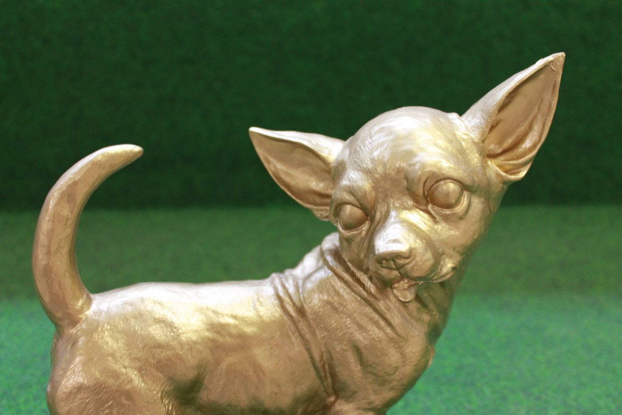 Gouden Chihuahua leuk als deco voor binnen en buiten