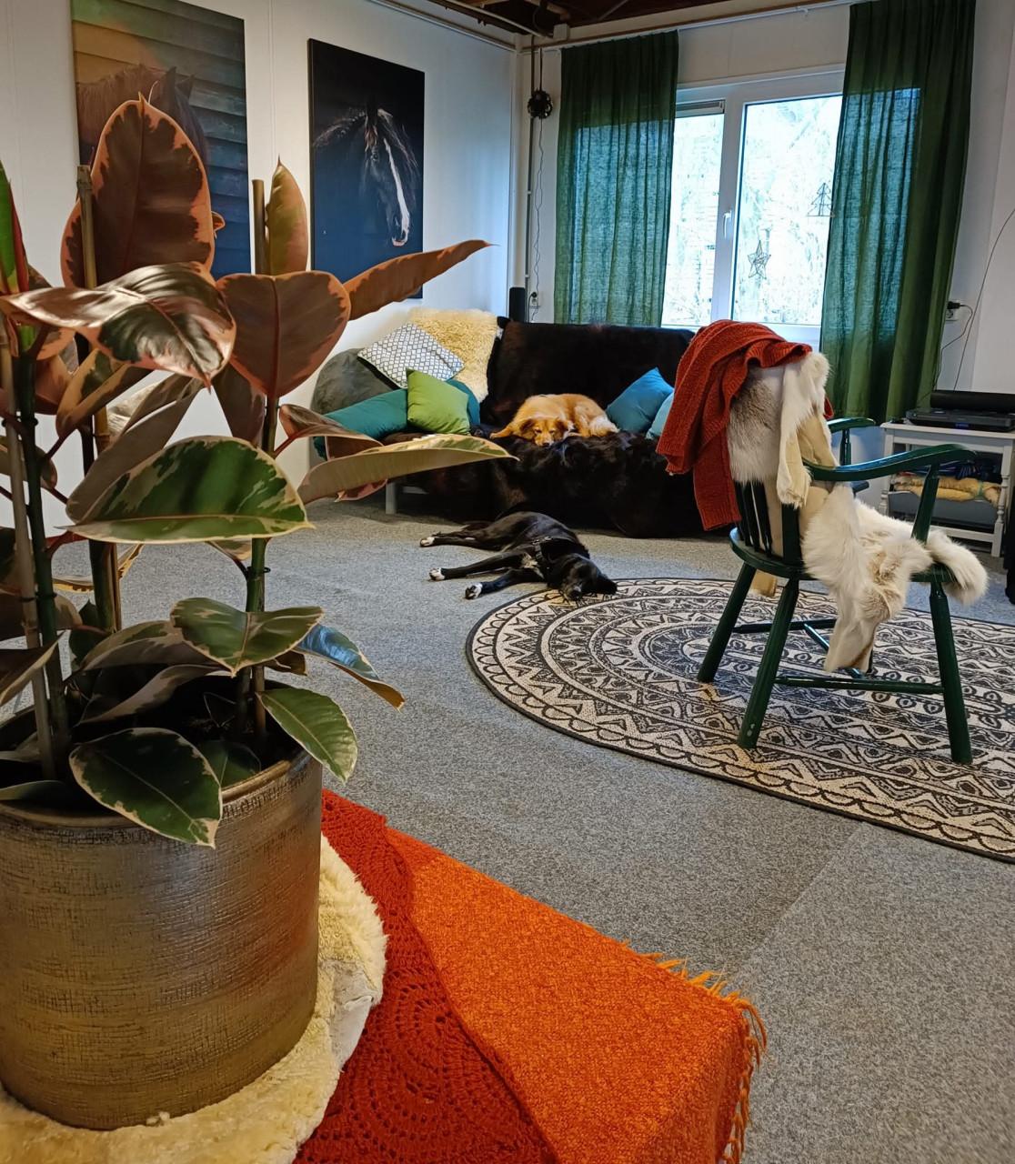 Ruime kantoor/ woonunits