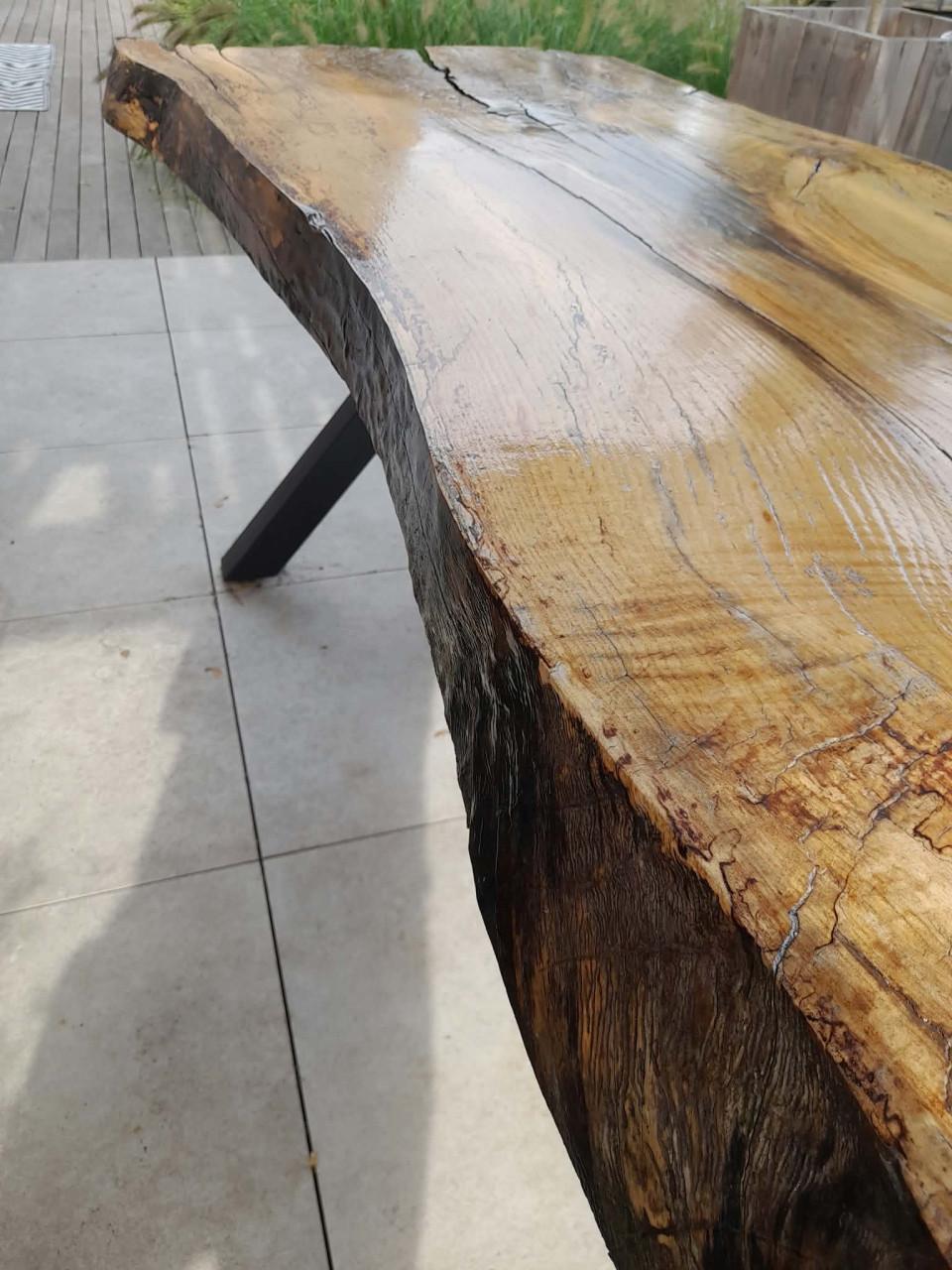 Unieke Boomstamtafel in Beuk 250x80x78 cm
