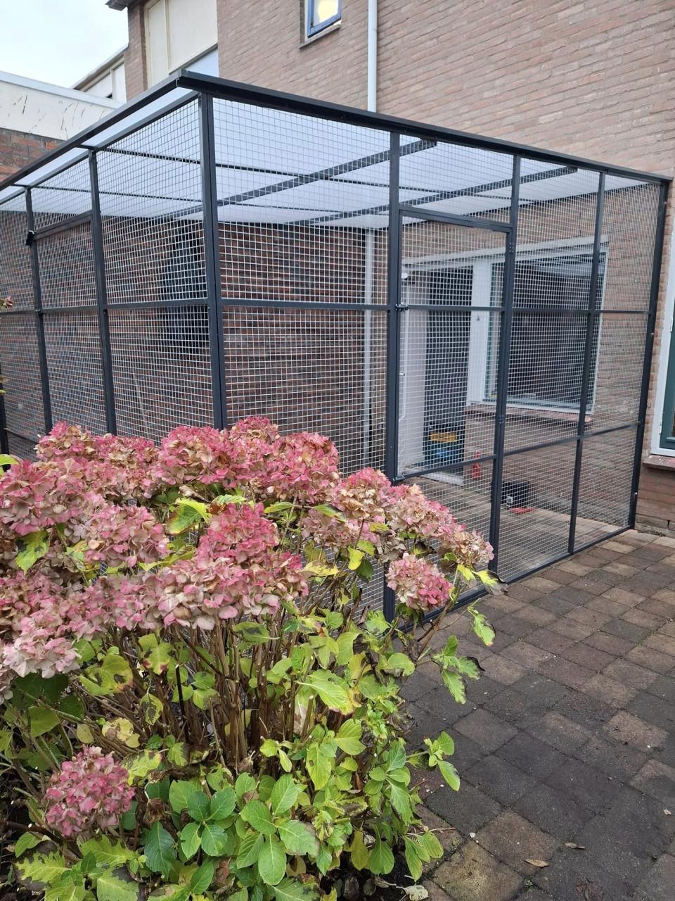 Kattenrennen/verblijven..........