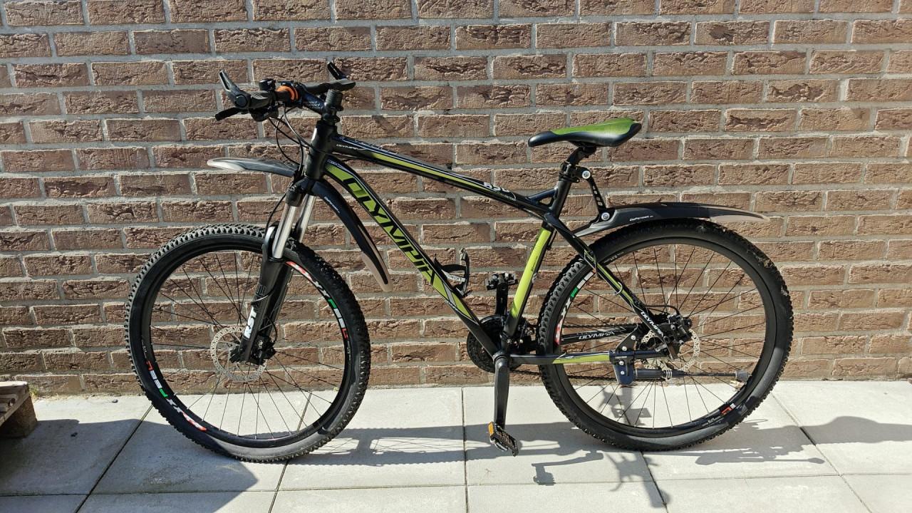 Olympia Cobra XL