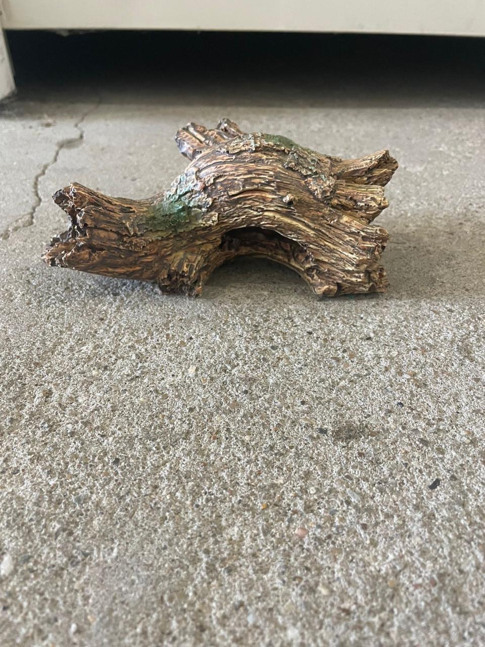 Aquarium met leuke accessoires