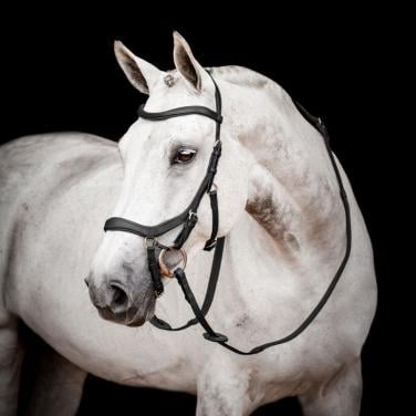 HORSEWARE MICKLEM 2 HOOFDSTEL COMPETITION, nieuw, Full