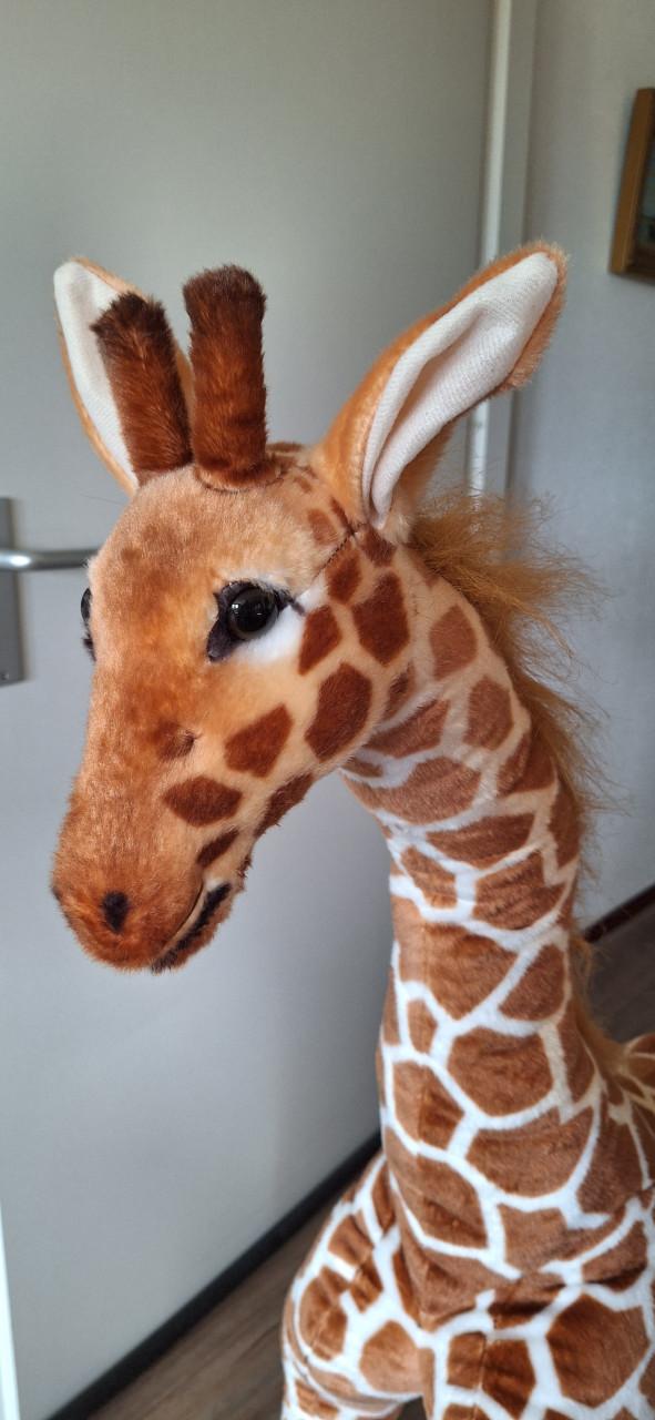 Giraffe ,zacht voor kinderen,nieuw
