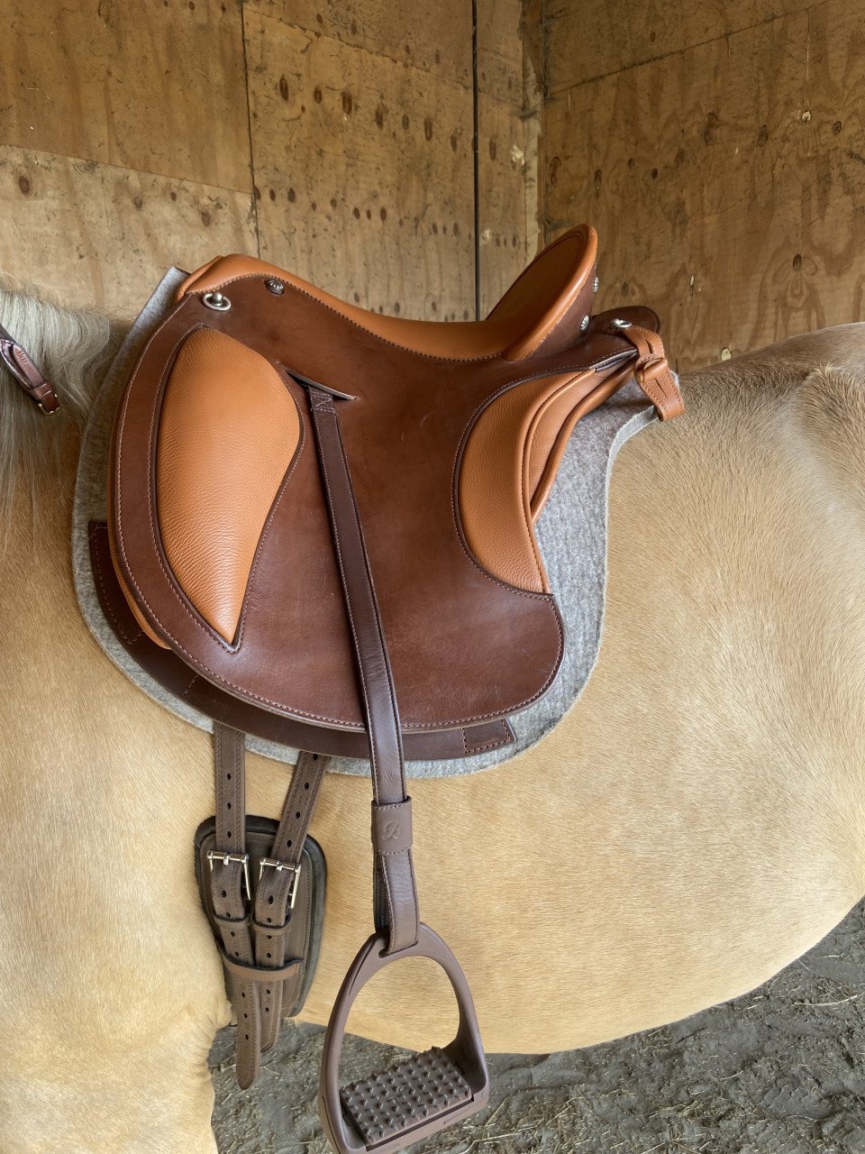 5-jarige Palomino PRE merrie