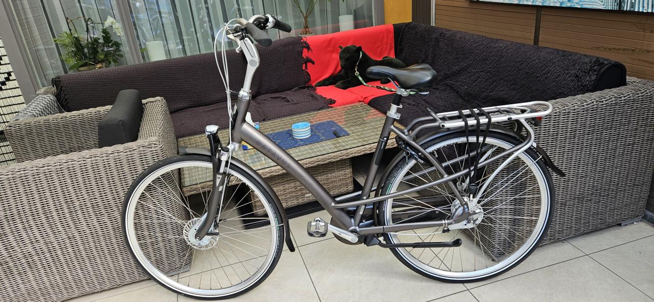 Batavus Mambo Damesfiets