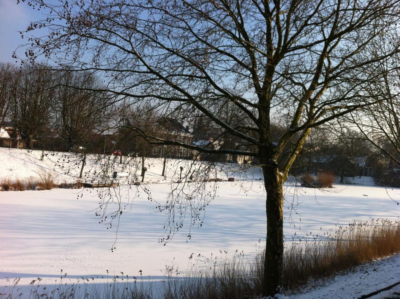 Westsingel Goes - sfeervol huisje aan de veste!