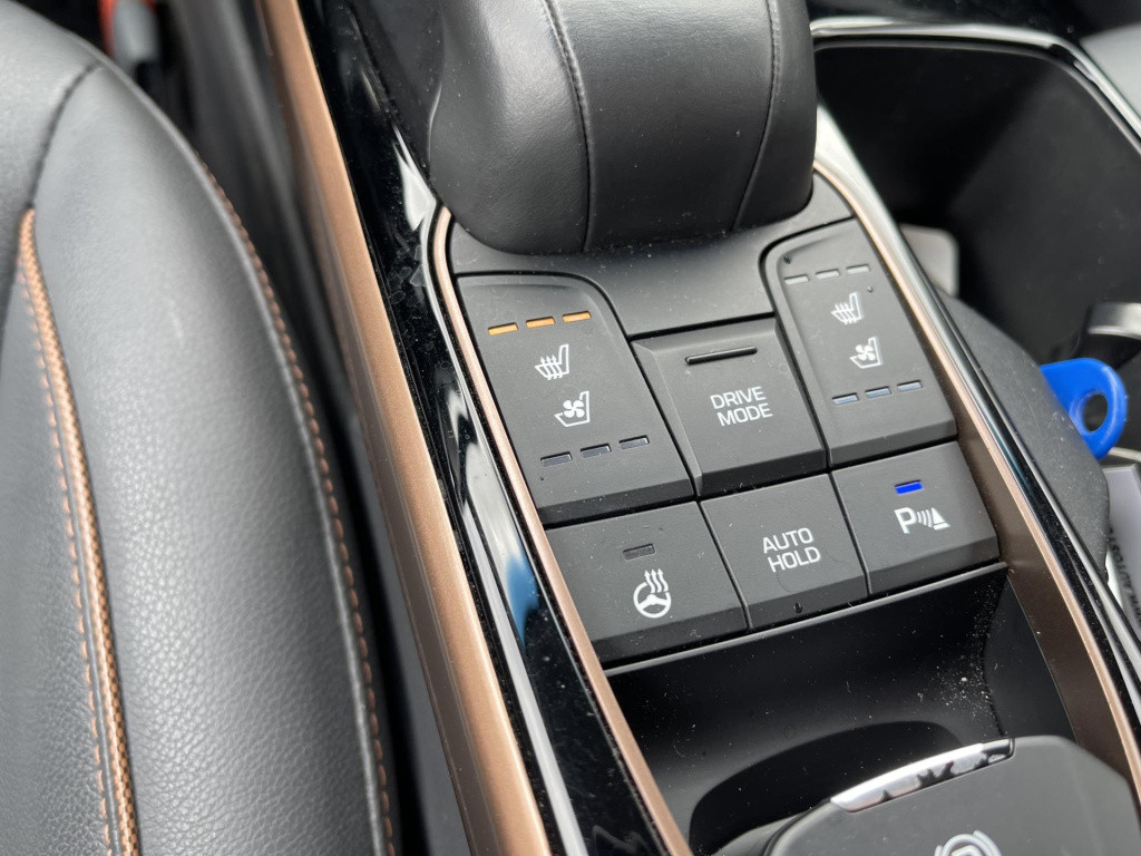 Hyundai Ioniq premium ev | schuif-/kanteldak | leder | geheugenstoel | stuu