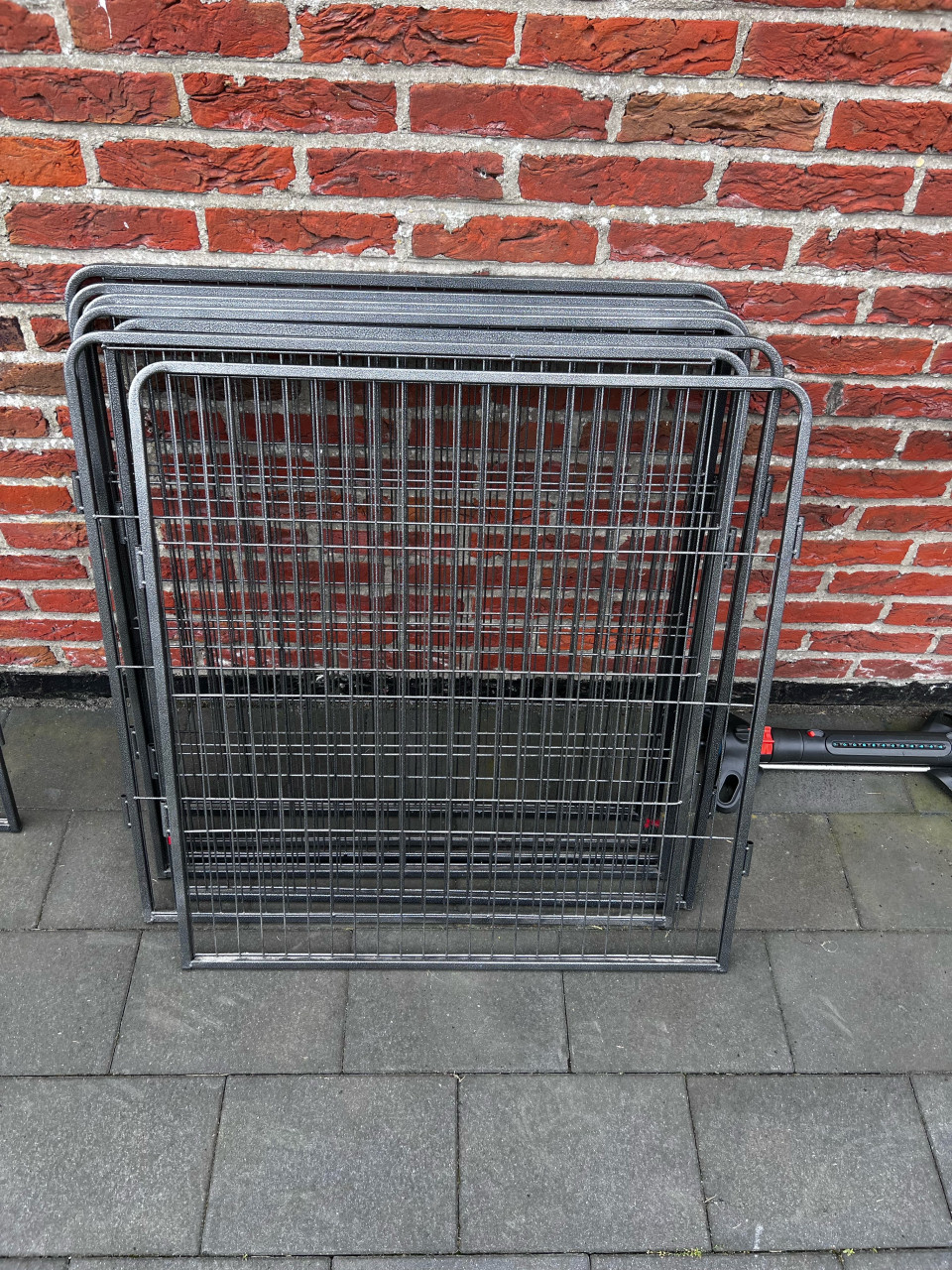 Puppyren 80 cm hoog