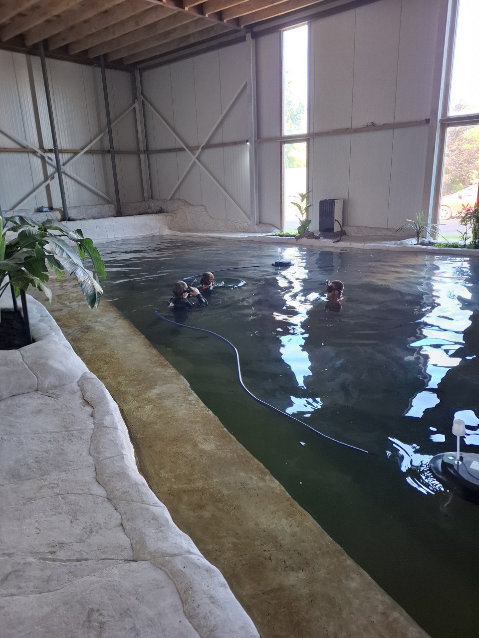 Kom óók zwemmen, snorkelen of Snuba duiken bij Fish World