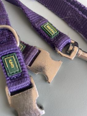 ZGAN HUNTER Kleine hond/Puppy bandjes plus Lijn IZGS!!