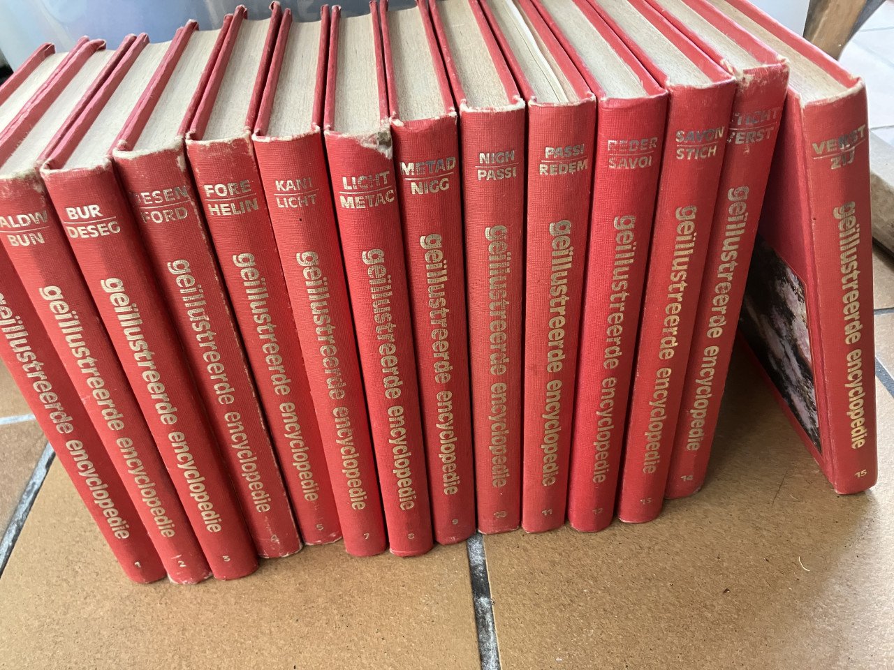Geïllustreerde encyclopedie set in kleur