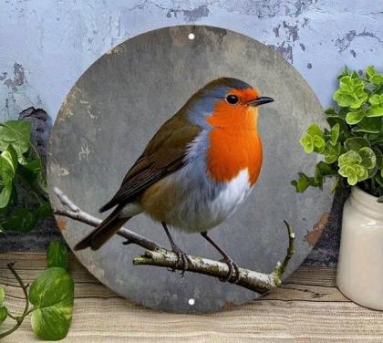 Roodborst ( op metaal )