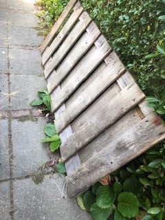 Heleboel oud hout (schuttingplanken/delen) wel met spijkers