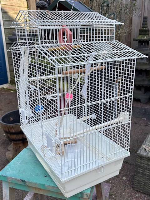 Vogelkooi gratis