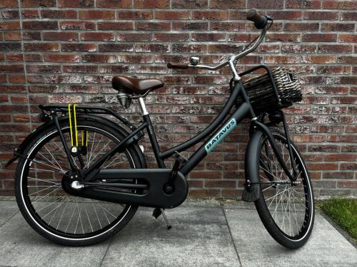 Batavus PACKD
