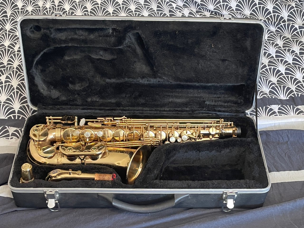 Stevige Kunststof Koffer voor Alt Saxofoon