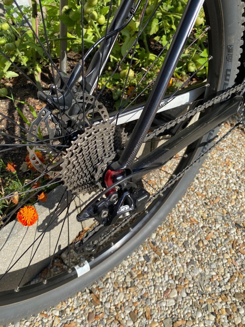 CUBE Carbon 29” MTB