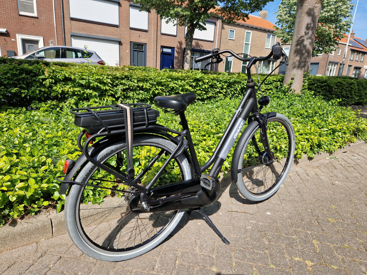 Schitterende Giant Triple-X elektrische fiets