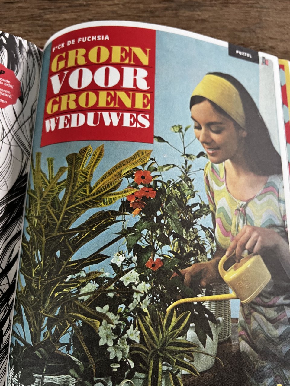 Nederland in de jaren 60