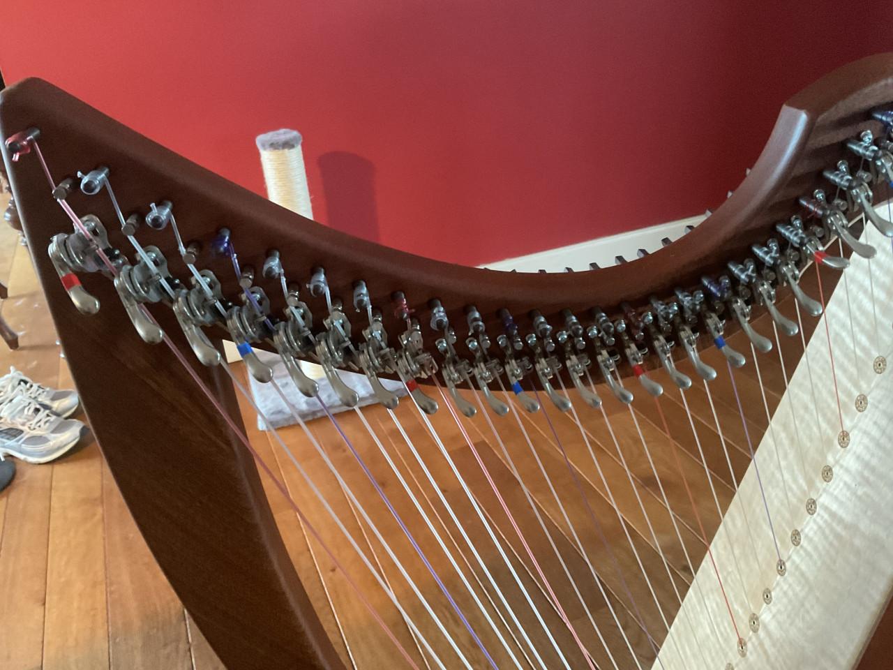 Keltische harp