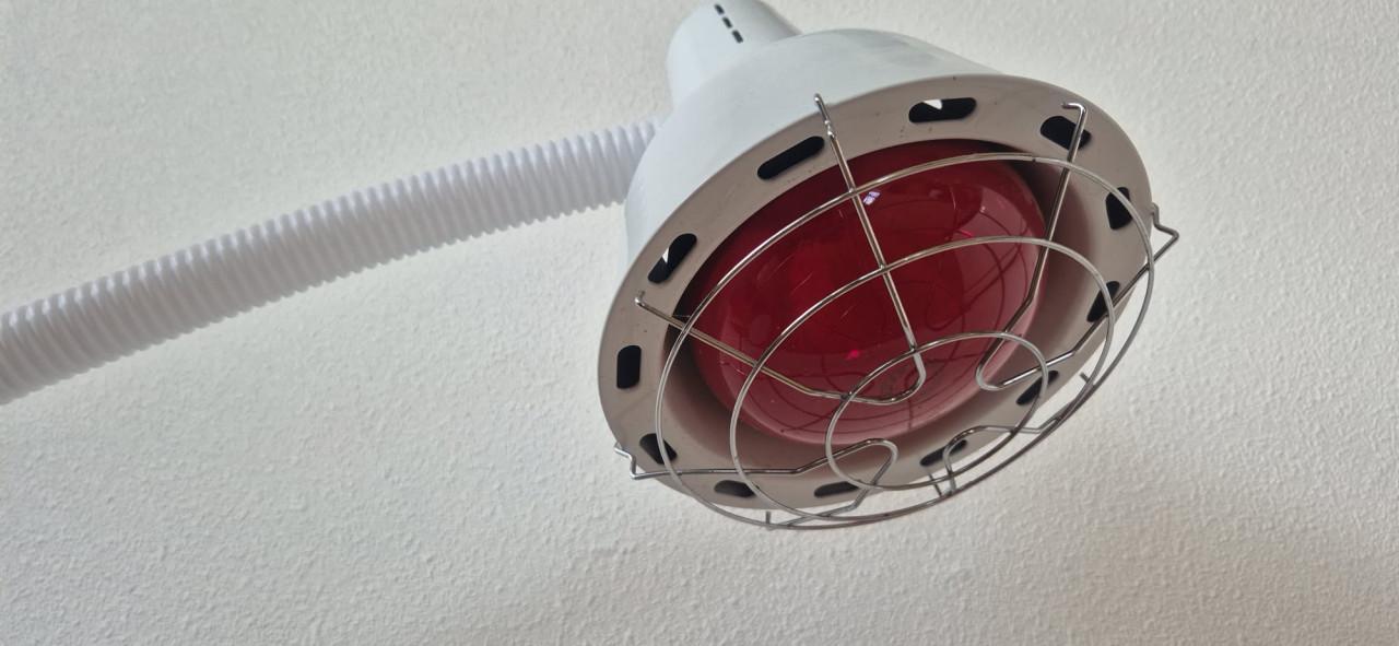 Infraroodlamp