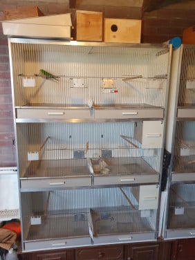 Broedhok met toebehoren