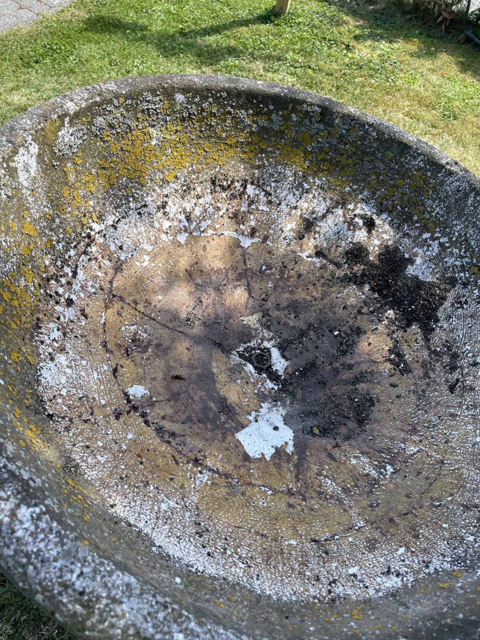 Vogeldrinkbak tuinbeeld