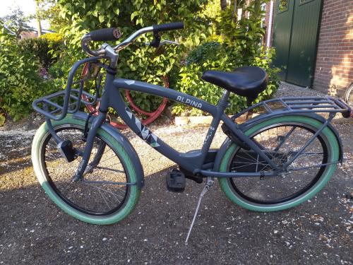 ""ALPINA CLUBB kinderfiets voor zowel jongens als meisjes""