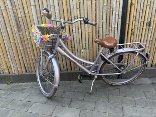 Sparta Pick-up 24 inch