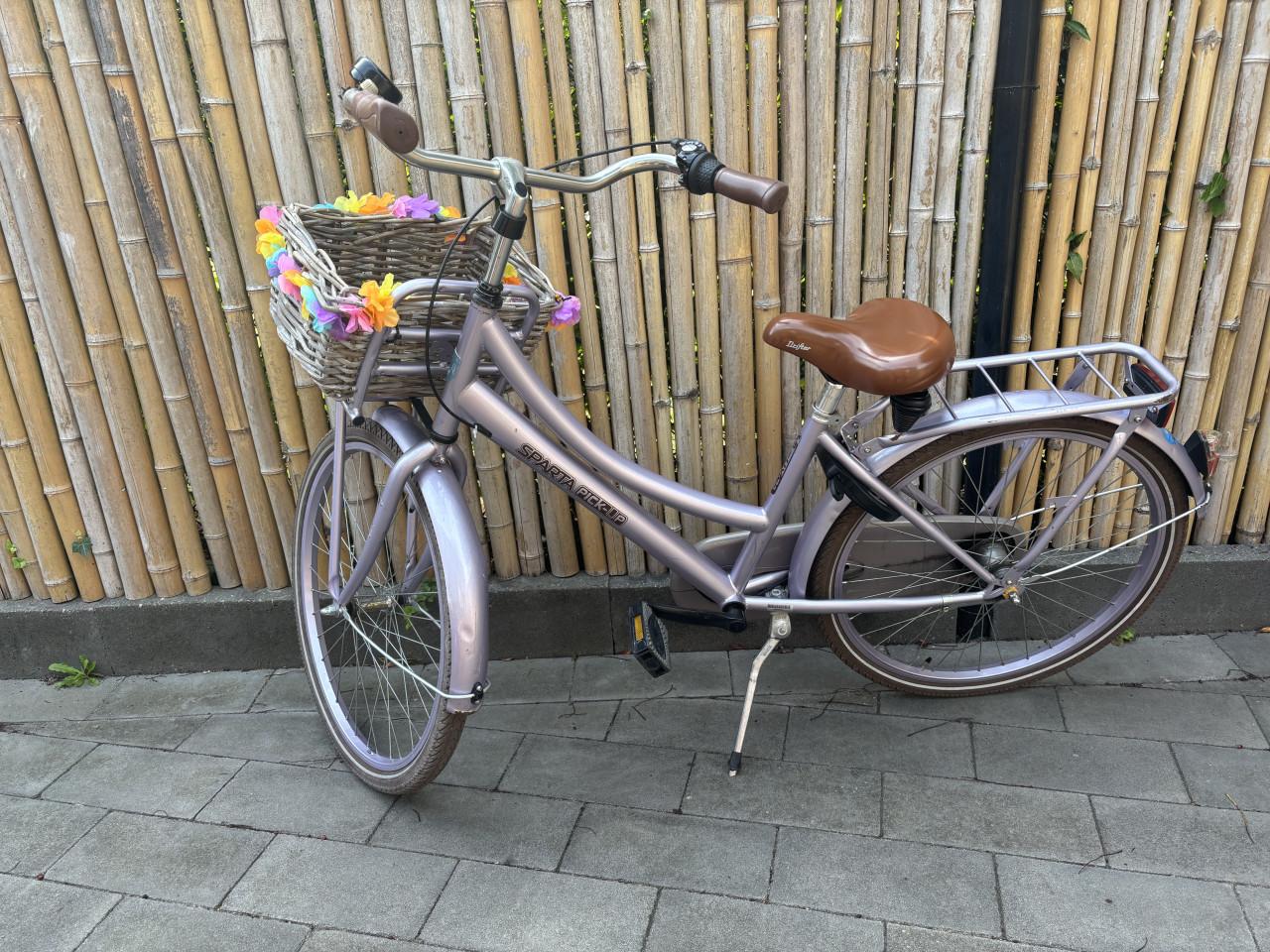 Sparta Pick-up 24 inch