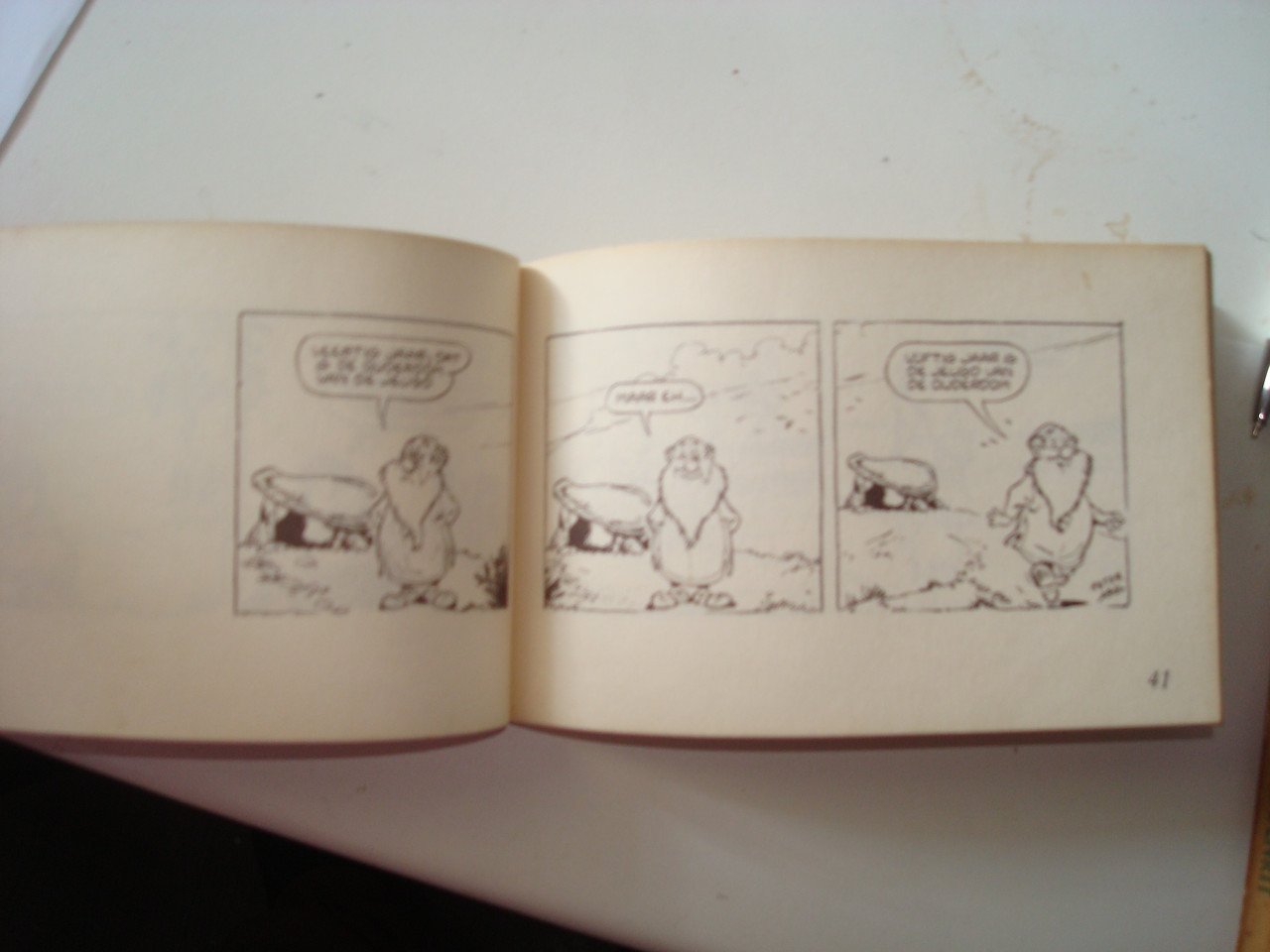 Stripboek Goeroe
