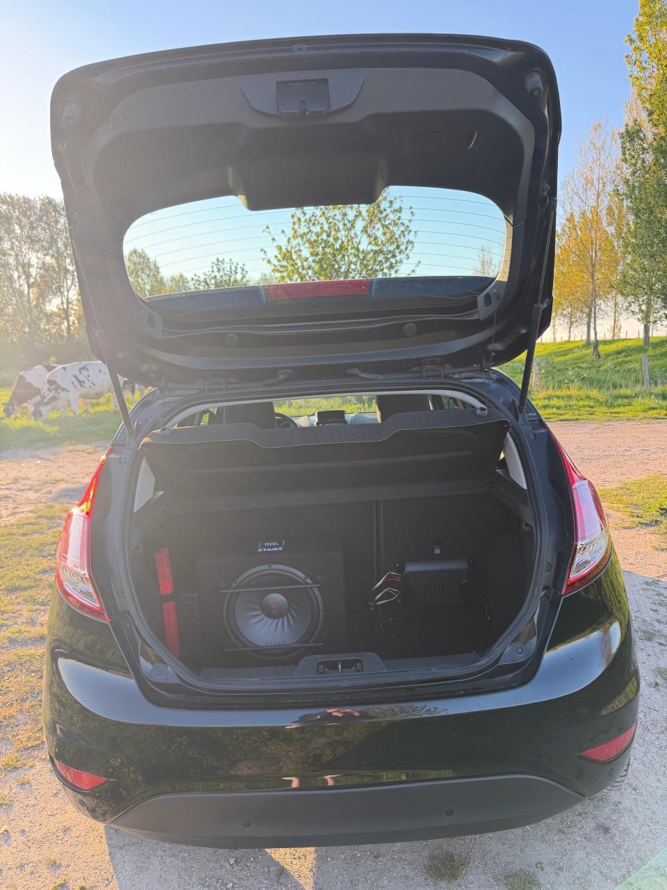 Ford Fiësta 1.0 59KW/80PK 5D 2014 Zwart