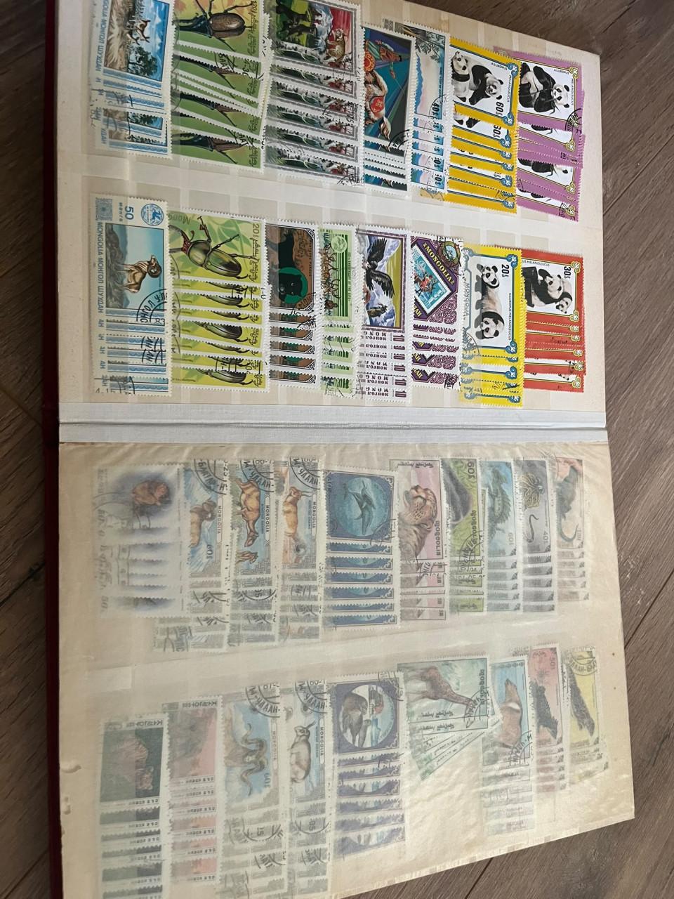 Dik album met motief dieren/fauna