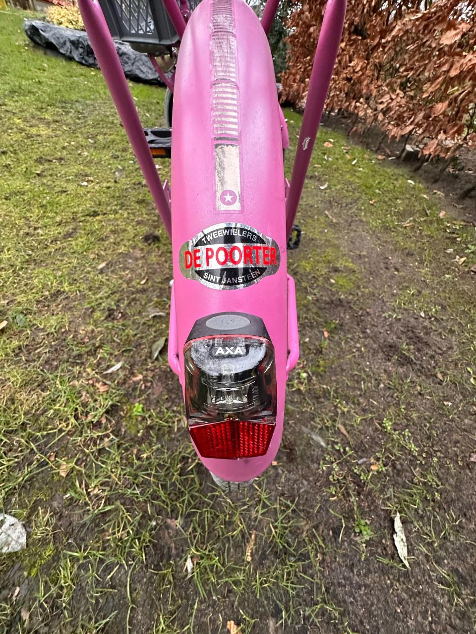 Meisjesfiets - 20 inch - Alpina Cargo Fuchsia Pink Matt