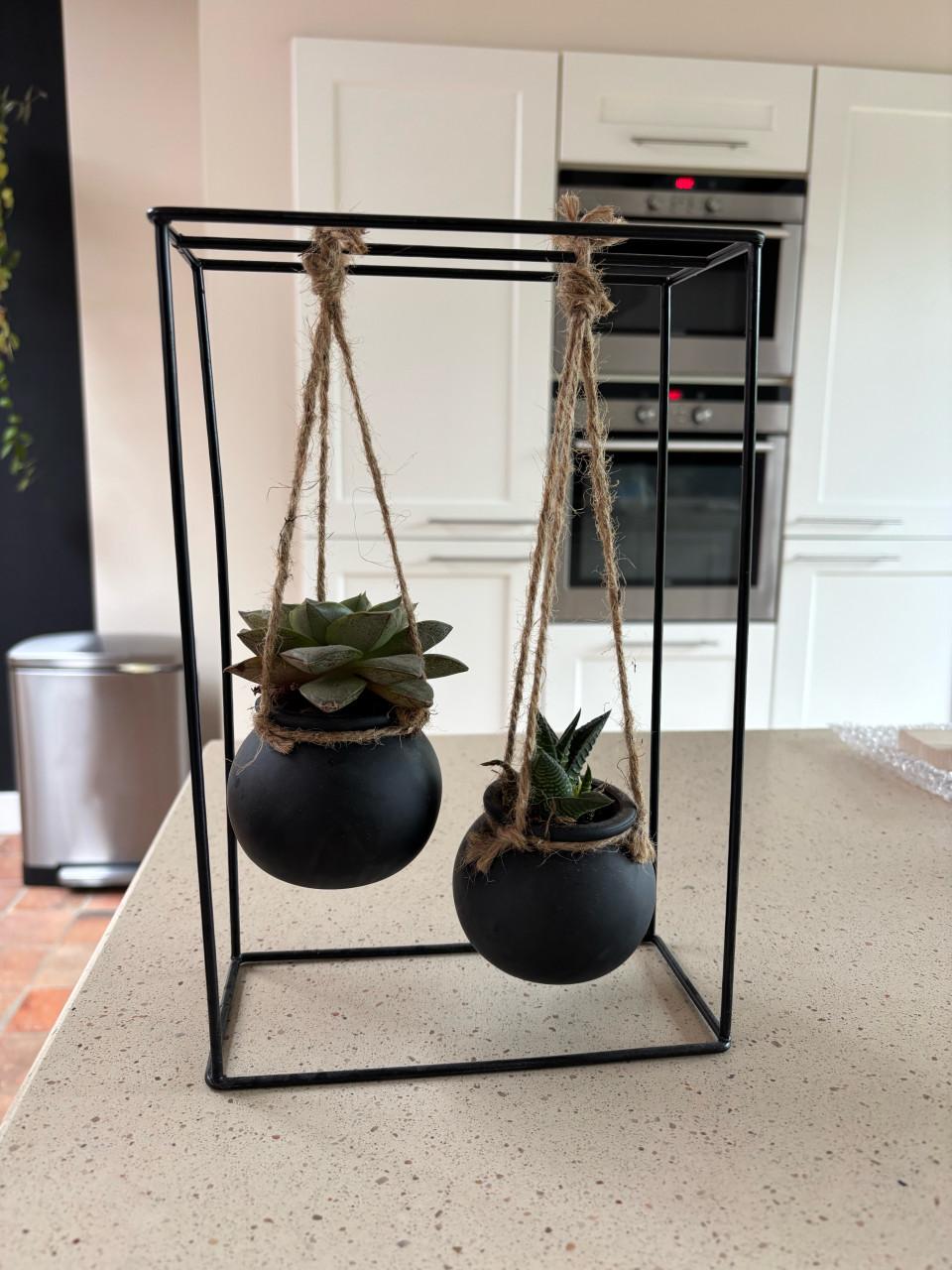 Rekje met vetplantjes