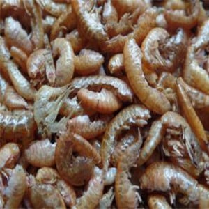 Nakiche Koi Basisvoer 2.5kg korrels