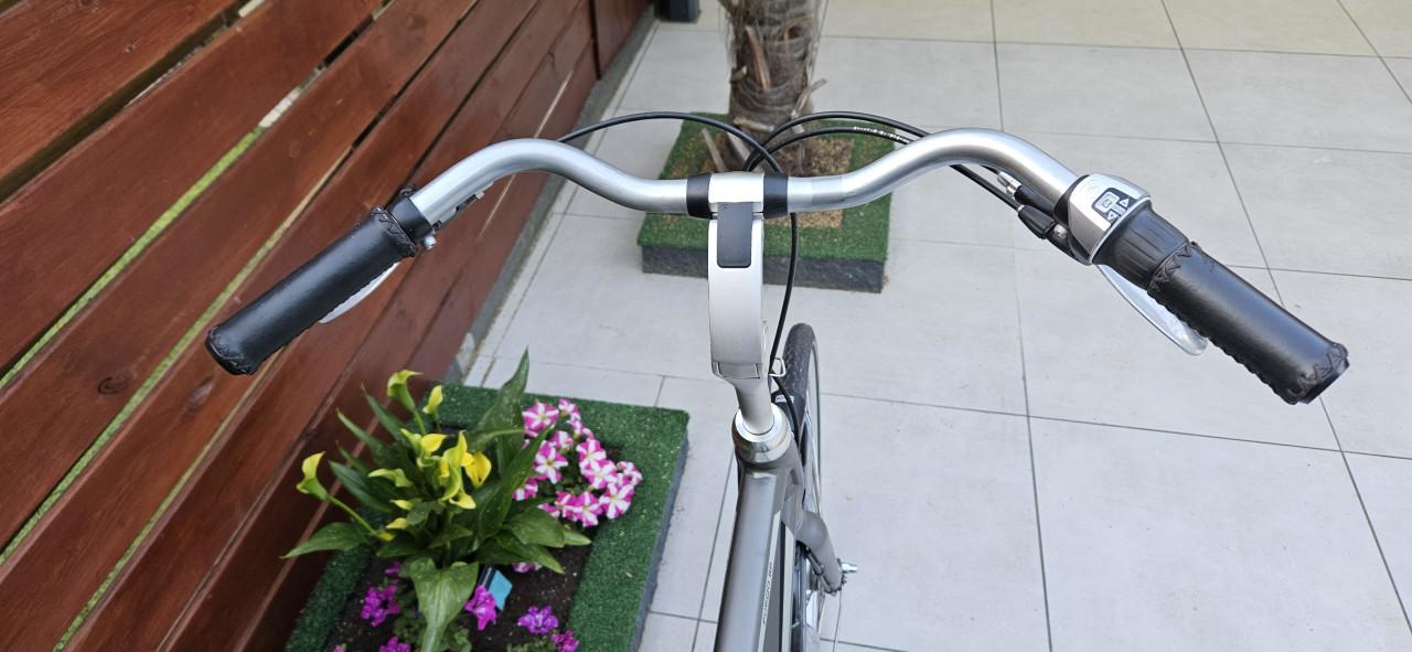 Batavus Fueco 8P  Exclusieve herenfiets