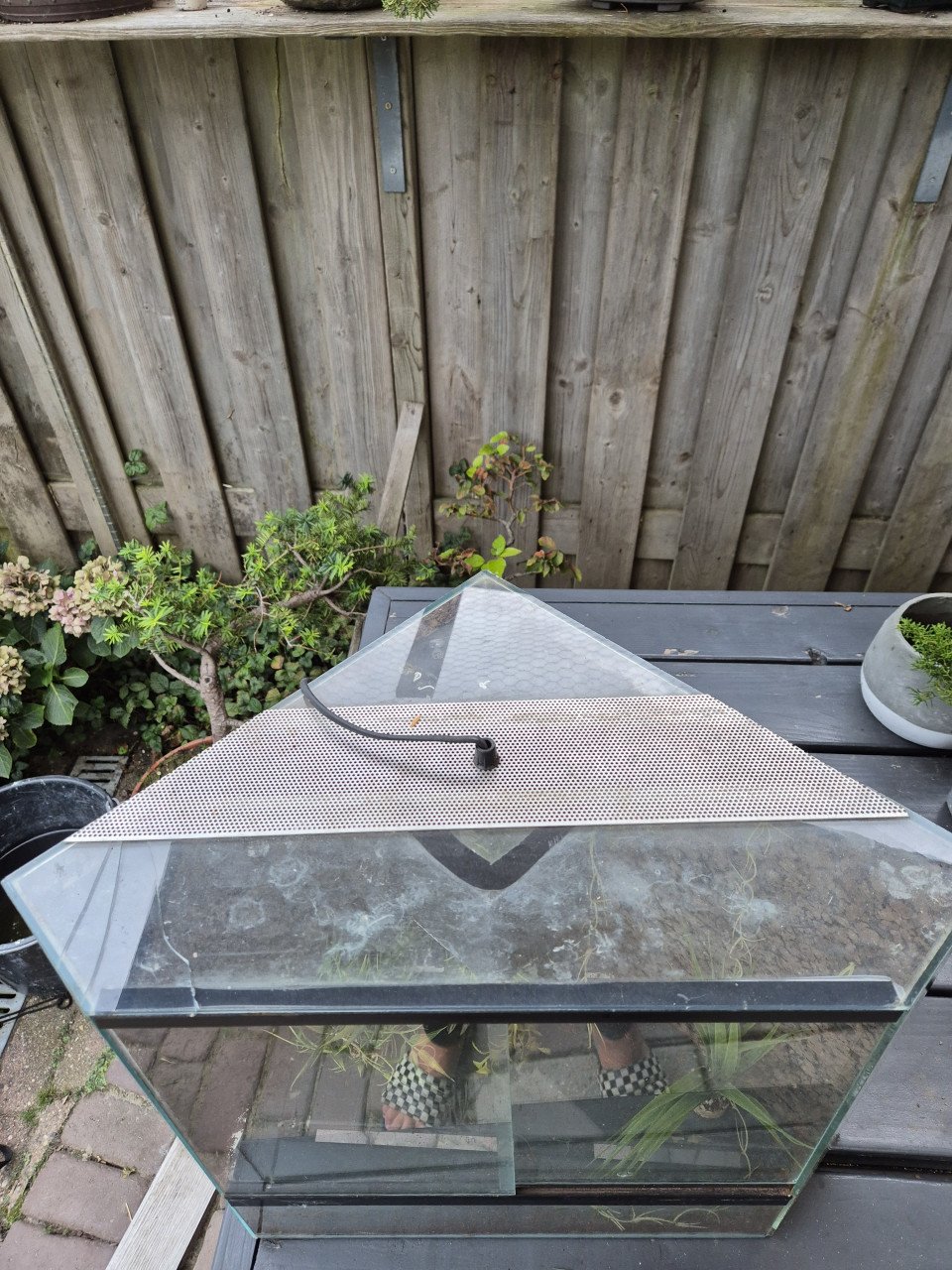 Hoek terrarium.