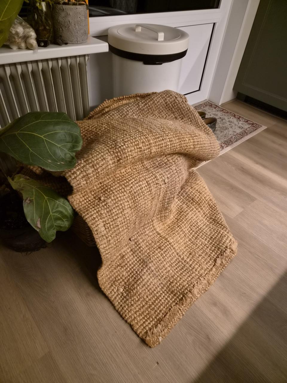 Vloerkleed