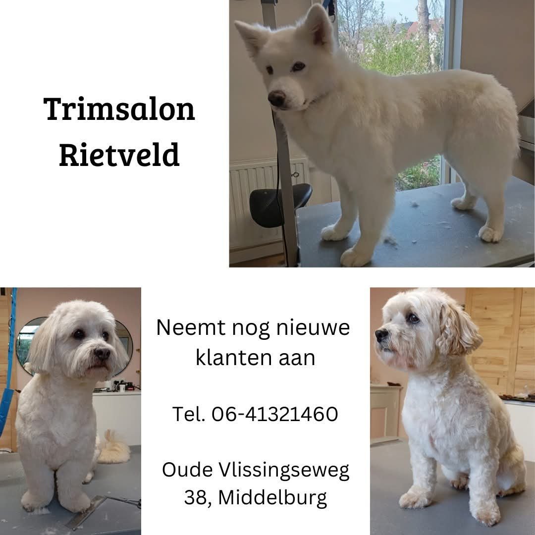 Nieuw! Trimsalon Rietveld Middelburg