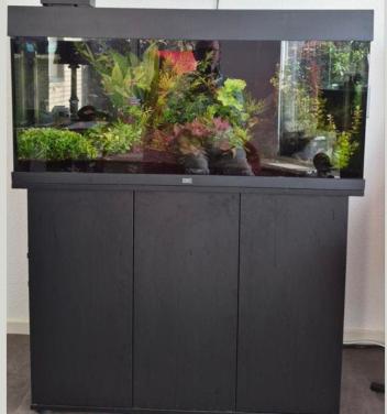 Te koop Juwel Rio 180