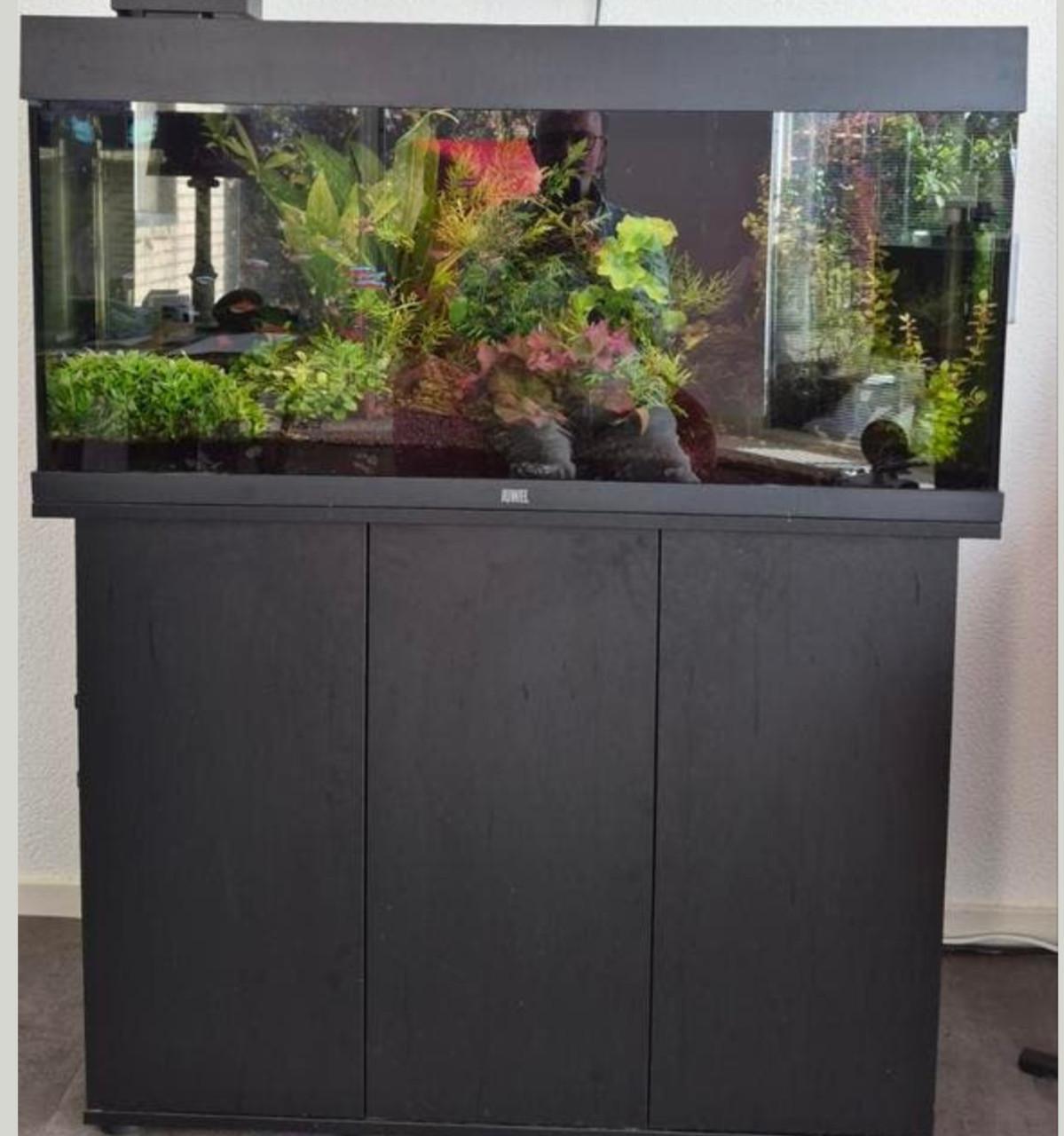 Te koop Juwel Rio 180